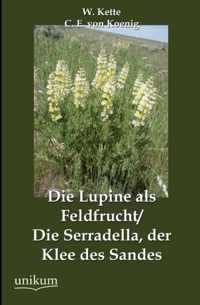 Die Lupine als Feldfrucht/Die Serradella, der Klee des Sandes