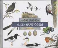 Kijken Naar Vogels