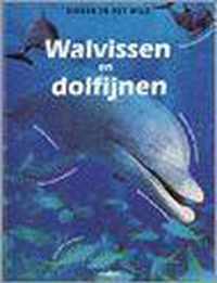 Walvissen En Dolfijnen