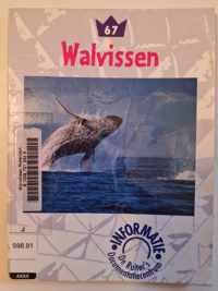 Walvissen