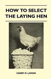 How To Select The Laying Hen