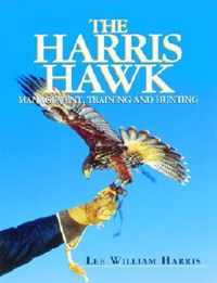 The Harris Hawk
