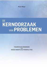 De kernoorzaak van problemen