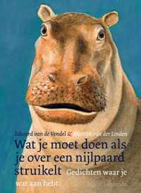 Wat je moet doen als je over een nijlpaard struikelt