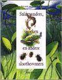 Salamanders Snoeken Ea Slootbewoners
