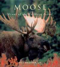 Moose