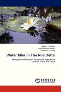 Water Lilies in the Nile Delta