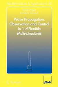 Wave Propagation, Observation and Control in 1-d Flexible Multi-Structures