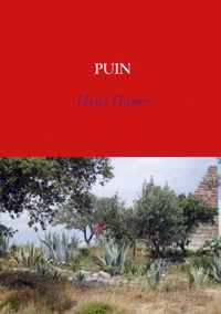 Puin - Hens Hauer - Paperback (9789402121971)