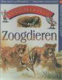 Zoogdieren