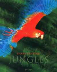 Lanting - Jungles (T25)