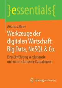 Werkzeuge der digitalen Wirtschaft Big Data NoSQL Co