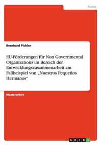 EU-Foerderungen fur Non Governmental Organizations im Bereich der Entwicklungszusammenarbeit am Fallbeispiel von  Nuestros Pequenos Hermanos