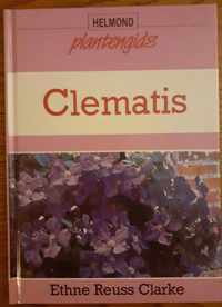 Plantengids-clematis