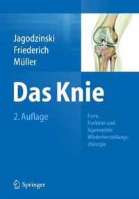 Das Knie