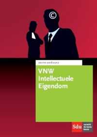 VNW Intellectuele Eigendom - Paperback (9789012398213)