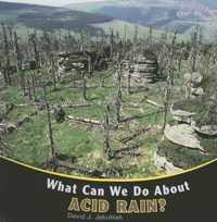 What Can We Do about Acid Rain?