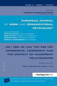 Do I See Us Like You See Us? Consensus, Agreement, and the Context of Leadership Relationships