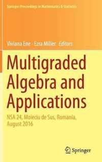 Multigraded Algebra and Applications