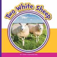 Two White Sheep