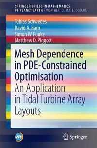 Mesh Dependence in PDE Constrained Optimisation