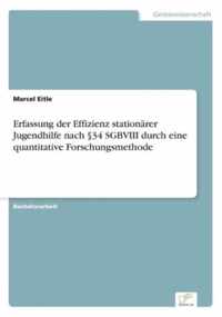 Erfassung der Effizienz stationarer Jugendhilfe nach 34 SGBVIII durch eine quantitative Forschungsmethode