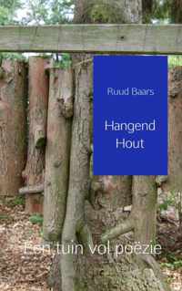 Hangend hout - Ruud Baars - Paperback (9789402120103)