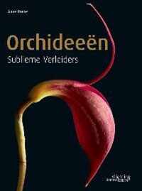 Orchideeen