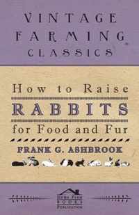 How To Raise Rabbits For Food And Fur