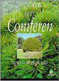 Over Coniferen
