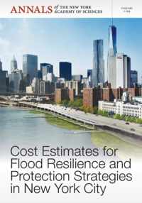 Cost Estimates for Flood Resilience and Protection Strategies in New York City, Volume 1294