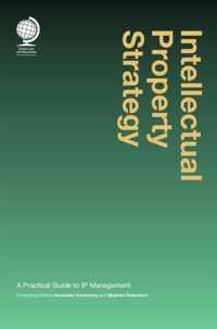 Intellectual Property Strategy