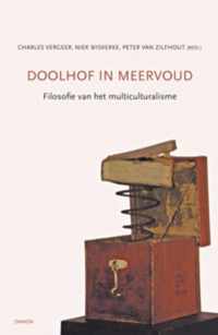 Doolhof in meervoud