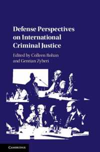 Defense Perspectives on International Criminal Justice