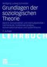 Grundlagen Der Soziologischen Theorie: Band 3