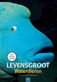 Levensgroot waterdieren Waterdieren