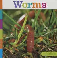 Worms