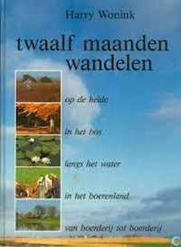 Twaalf maanden wandelen