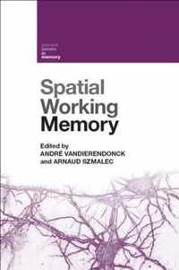 Spatial Working Memory