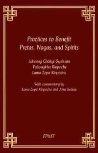 Practices to Benefit Pretas, Nagas and Spirits