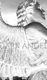 Dark Angel Writing Drawing Journal