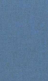 The Greek Prothetic Vowel