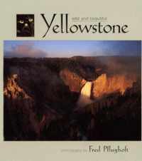 Yellowstone Wild and Beautiful