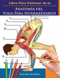 Libro Para Colorear de la Anatomia del Yoga Para Intermediarios