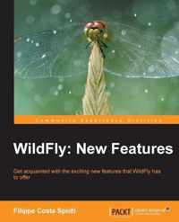 Wildfly