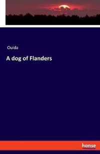 A dog of Flanders