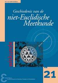 Zebra-reeks 21 - Geschiedenis van de niet-Euclidische Meetkunde