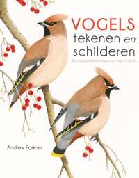 Vogels tekenen en schilderen