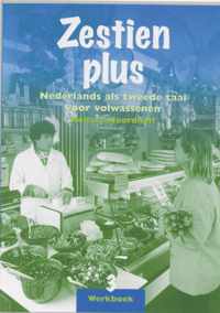 Zestien plus 3 Werkboek