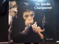 De familie chimpansee